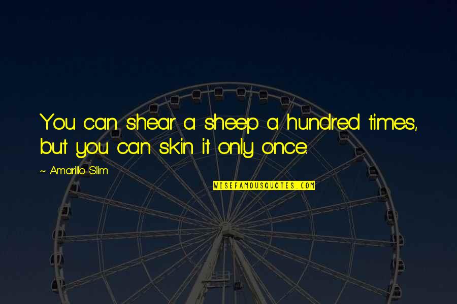 Hazrat Nizamuddin Auliya Quotes By Amarillo Slim: You can shear a sheep a hundred times,