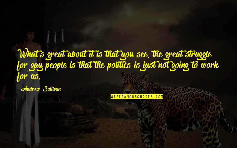 Hcdsb Quotes By Andrew Sullivan: What's great about it is that you see,