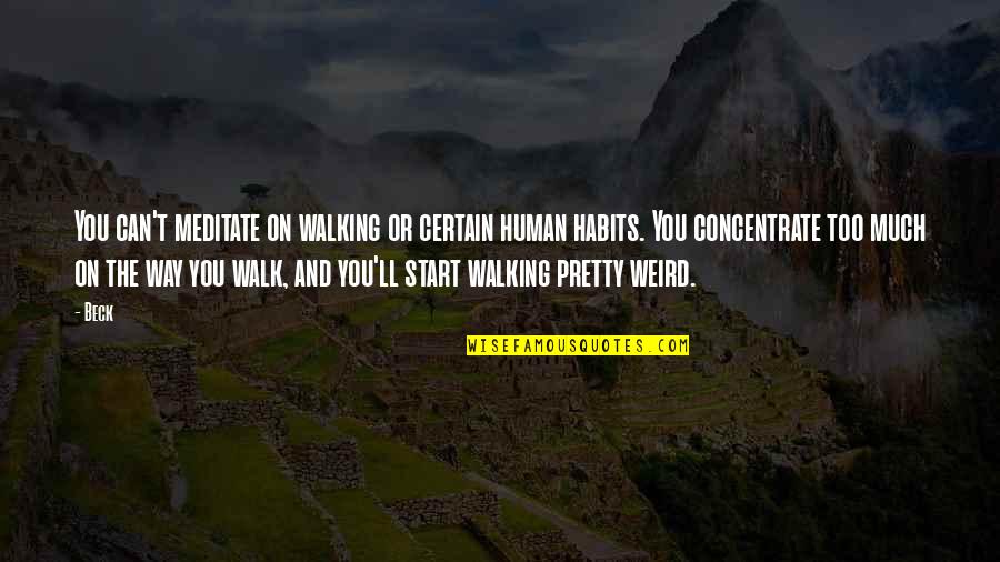 Hd Backgrounds For Quotes By Beck: You can't meditate on walking or certain human