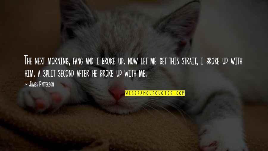 He Broke Up Me Quotes By James Patterson: The next morning, fang and i broke up.