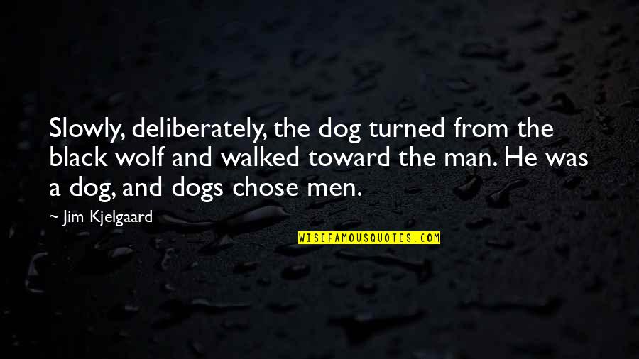 He Chose You Quotes By Jim Kjelgaard: Slowly, deliberately, the dog turned from the black He Chose You Quotes By Jim Kjelgaard: Slowly, deliberately, the dog turned from the black