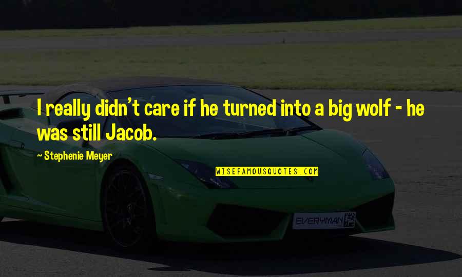 He Didn't Care Quotes By Stephenie Meyer: I really didn't care if he turned into