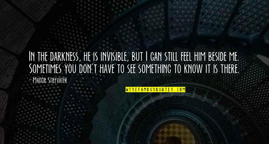 He Don't Love Quotes By Maggie Stiefvater: In the darkness, he is invisible, but I