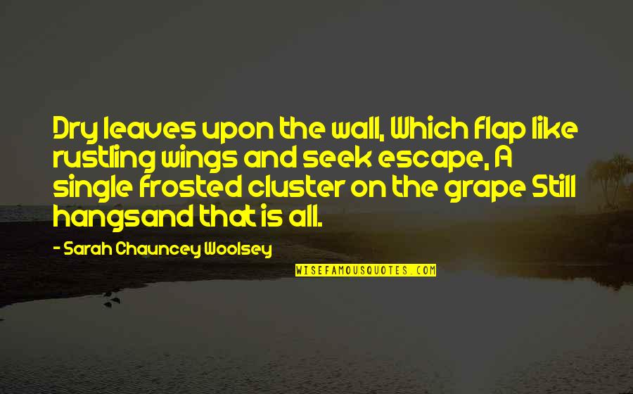 He Drives Me Crazy Quotes By Sarah Chauncey Woolsey: Dry leaves upon the wall, Which flap like He Drives Me Crazy Quotes By Sarah Chauncey Woolsey: Dry leaves upon the wall, Which flap like