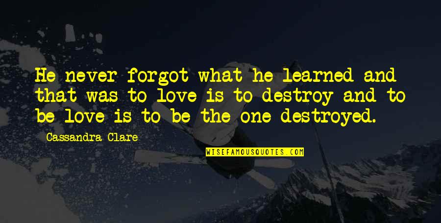 He Forgot You Quotes By Cassandra Clare: He never forgot what he learned and that