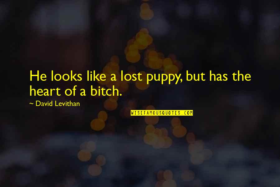 He Has Your Heart Quotes By David Levithan: He looks like a lost puppy, but has