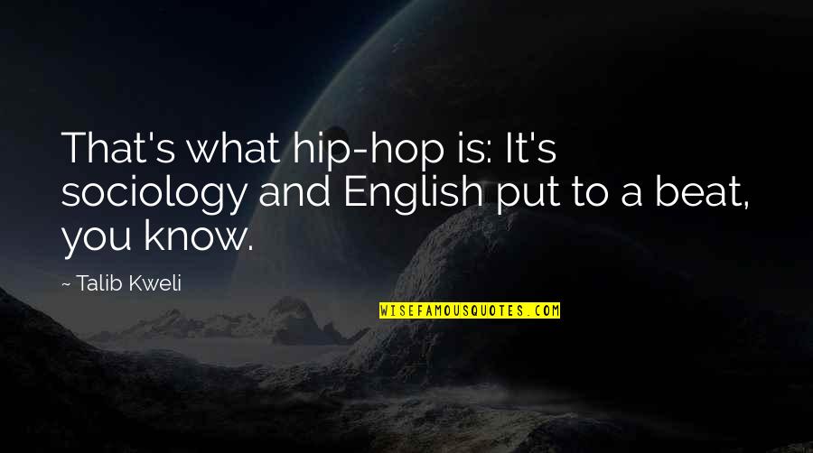 He Irritates Me Quotes By Talib Kweli: That's what hip-hop is: It's sociology and English