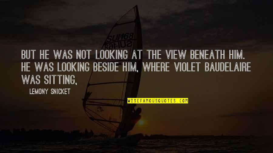 He Is Cute Quotes By Lemony Snicket: But he was not looking at the view