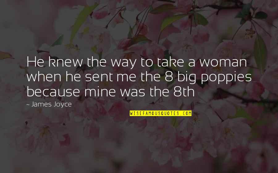 He Is Mine Now Quotes By James Joyce: He knew the way to take a woman