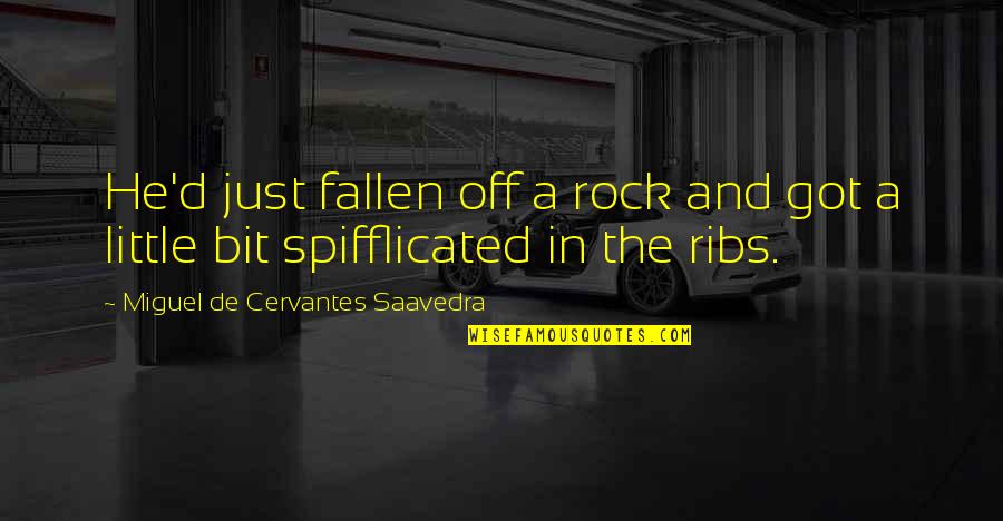 He Is My Rock Quotes By Miguel De Cervantes Saavedra: He'd just fallen off a rock and got