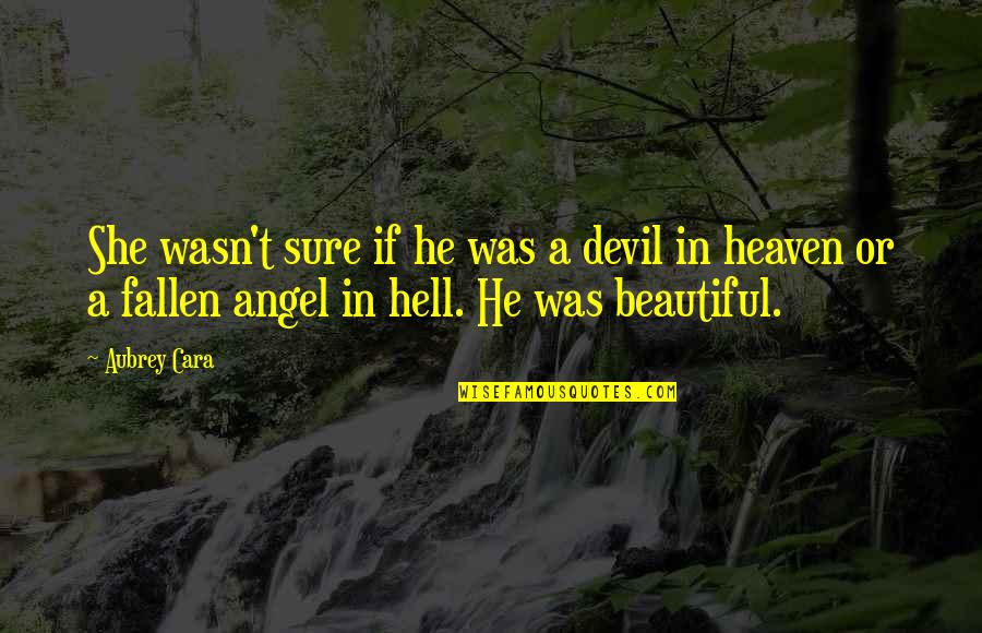 He Is So Beautiful Quotes By Aubrey Cara: She wasn't sure if he was a devil