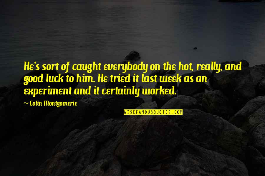 He Is So Hot Quotes By Colin Montgomerie: He's sort of caught everybody on the hot,