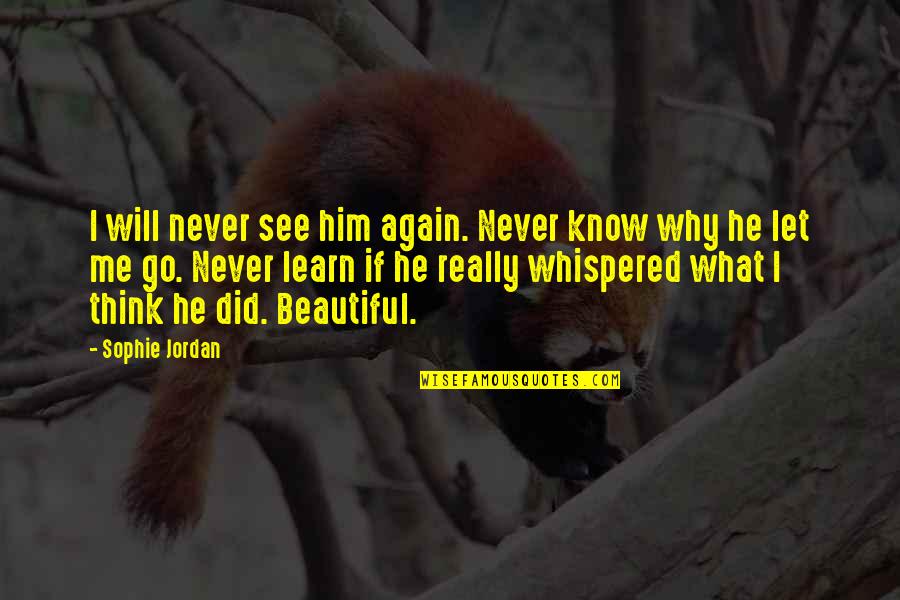 He Let Me Go Quotes By Sophie Jordan: I will never see him again. Never know