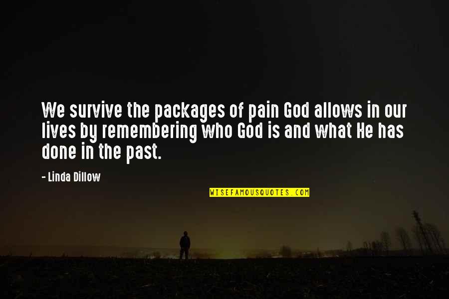 He Lives Quotes By Linda Dillow: We survive the packages of pain God allows He Lives Quotes By Linda Dillow: We survive the packages of pain God allows