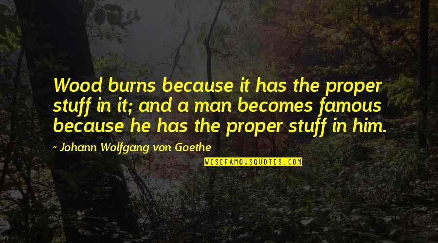 He Man Famous Quotes By Johann Wolfgang Von Goethe: Wood burns because it has the proper stuff