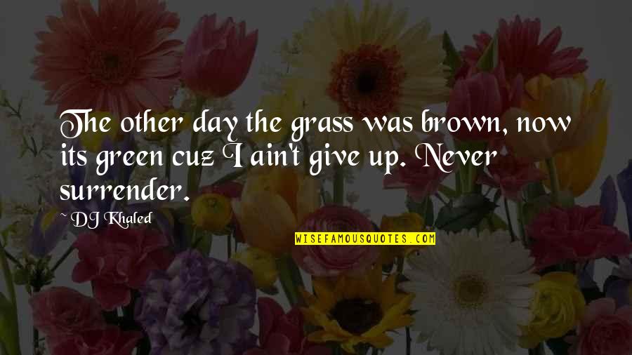 He Never Cared About Me Quotes By DJ Khaled: The other day the grass was brown, now