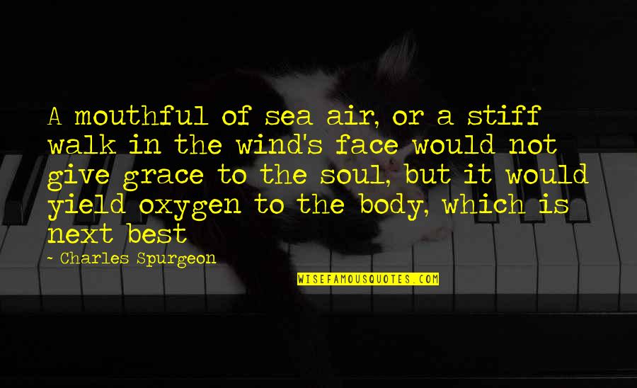 He Protects Her Quotes By Charles Spurgeon: A mouthful of sea air, or a stiff