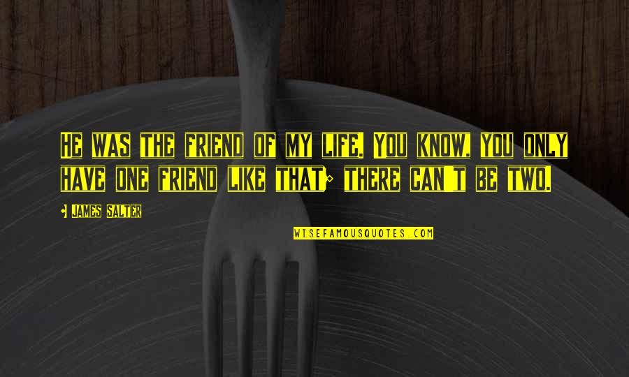 He Was My Friend Quotes By James Salter: He was the friend of my life. You