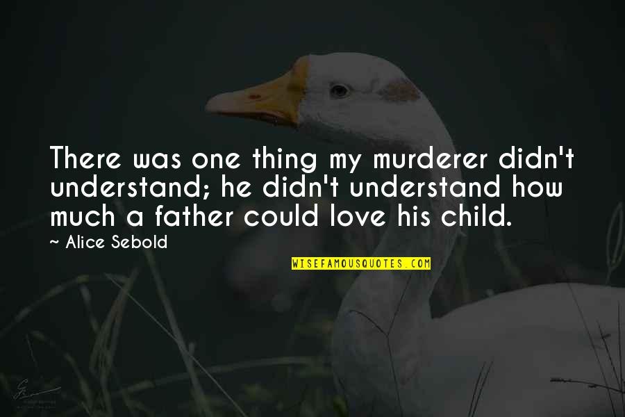 He Was My Love Quotes By Alice Sebold: There was one thing my murderer didn't understand;
