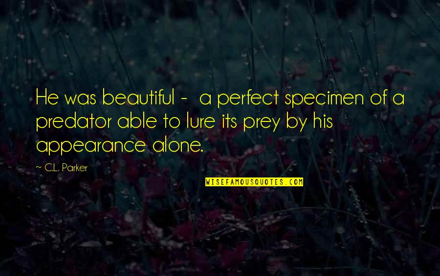He Was Perfect Quotes By C.L. Parker: He was beautiful - a perfect specimen of He Was Perfect Quotes By C.L. Parker: He was beautiful - a perfect specimen of