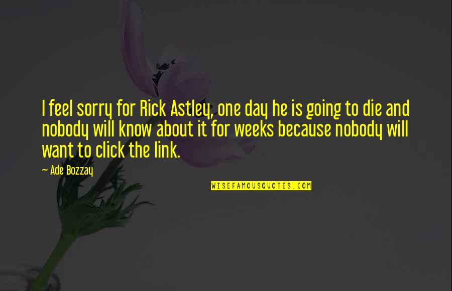 He Will Be Sorry Quotes By Ade Bozzay: I feel sorry for Rick Astley, one day