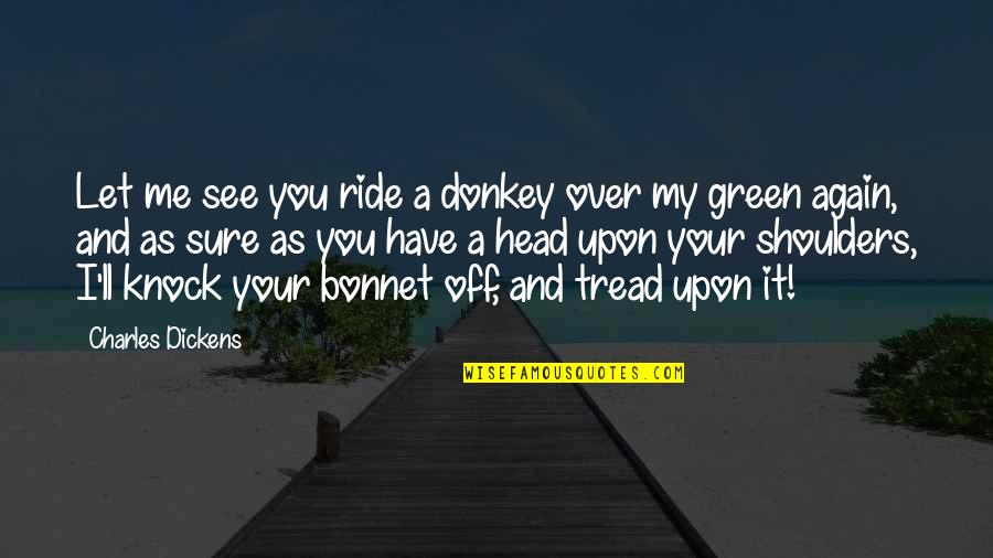 Head And Shoulders Quotes By Charles Dickens: Let me see you ride a donkey over