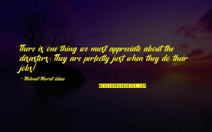 Head Fake Quotes By Mehmet Murat Ildan: There is one thing we must appreciate about