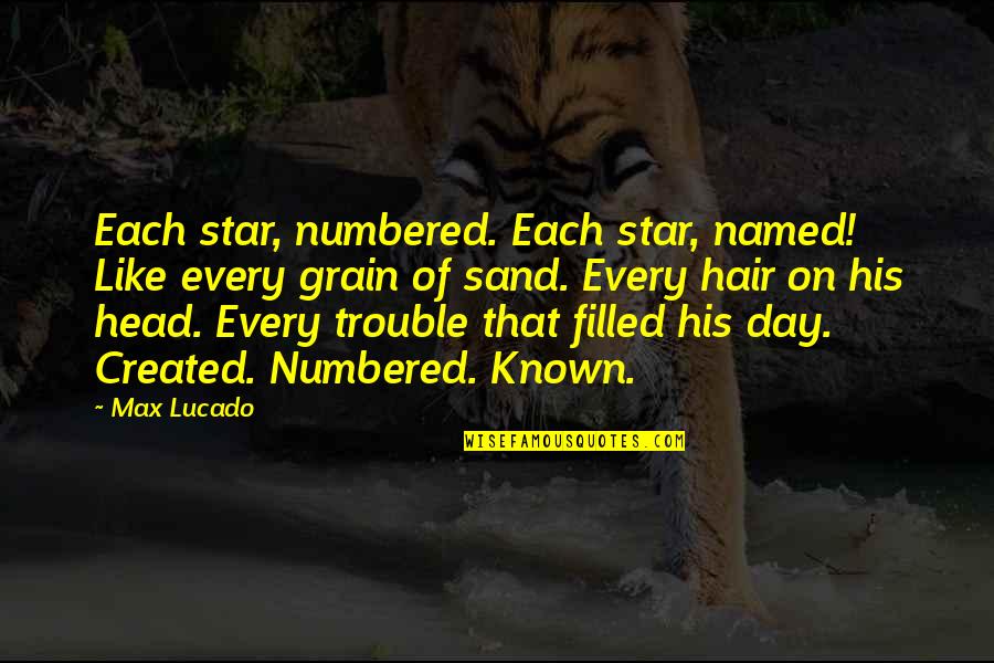 Head In The Sand Quotes By Max Lucado: Each star, numbered. Each star, named! Like every Head In The Sand Quotes By Max Lucado: Each star, numbered. Each star, named! Like every