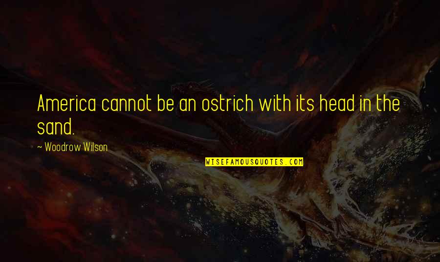 Head In The Sand Quotes By Woodrow Wilson: America cannot be an ostrich with its head
