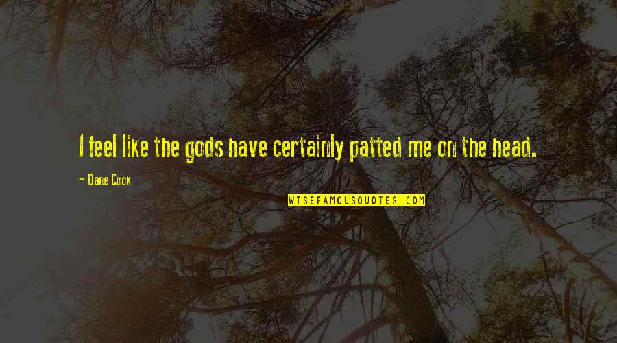 Head Quotes By Dane Cook: I feel like the gods have certainly patted