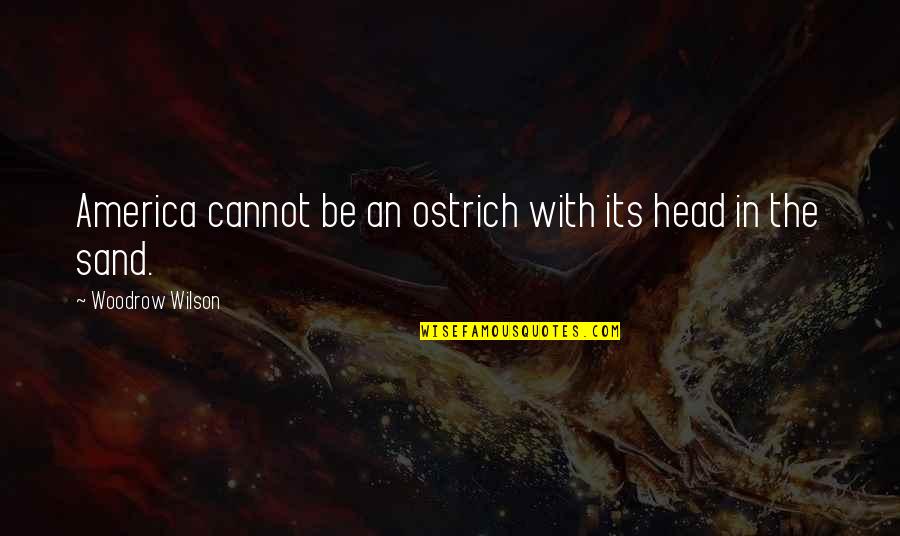 Head The Sand Quotes By Woodrow Wilson: America cannot be an ostrich with its head