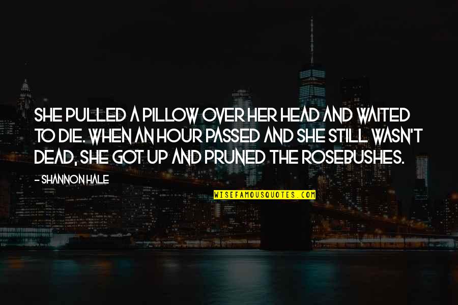 Head Up Quotes By Shannon Hale: She pulled a pillow over her head and