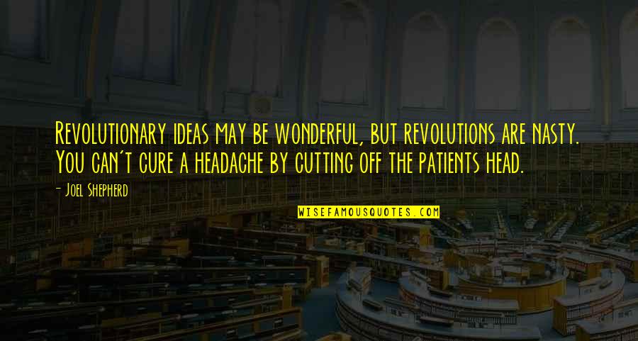 Headache Quotes By Joel Shepherd: Revolutionary ideas may be wonderful, but revolutions are