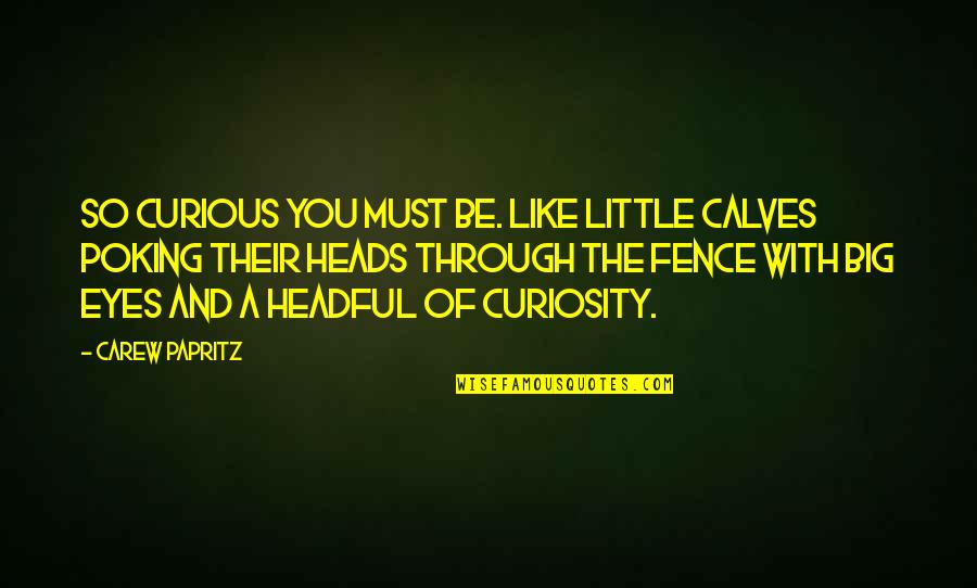 Headful Quotes By Carew Papritz: So curious you must be. Like little calves