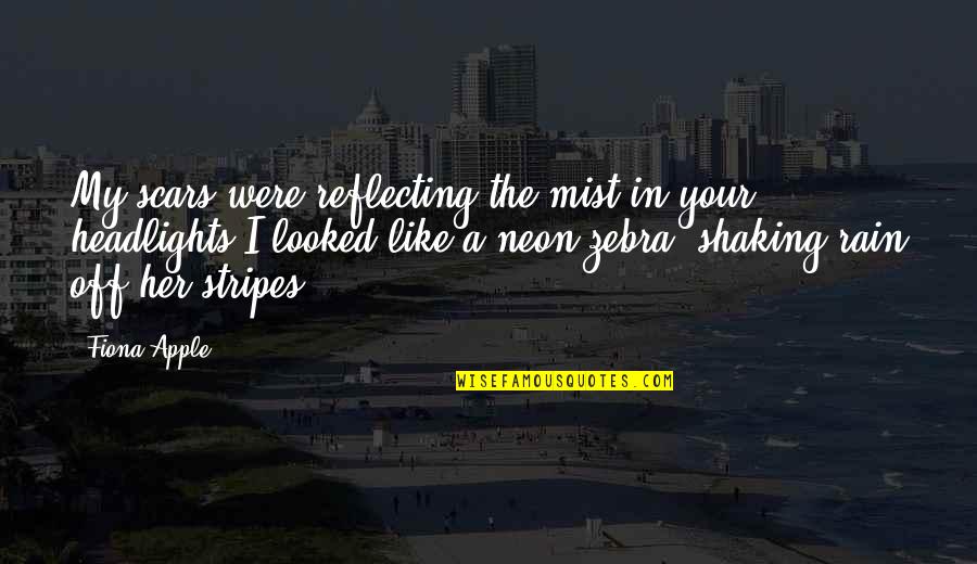 Headlights Quotes By Fiona Apple: My scars were reflecting the mist in your