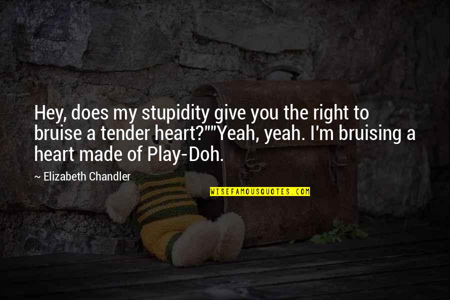 Headlined Quotes By Elizabeth Chandler: Hey, does my stupidity give you the right