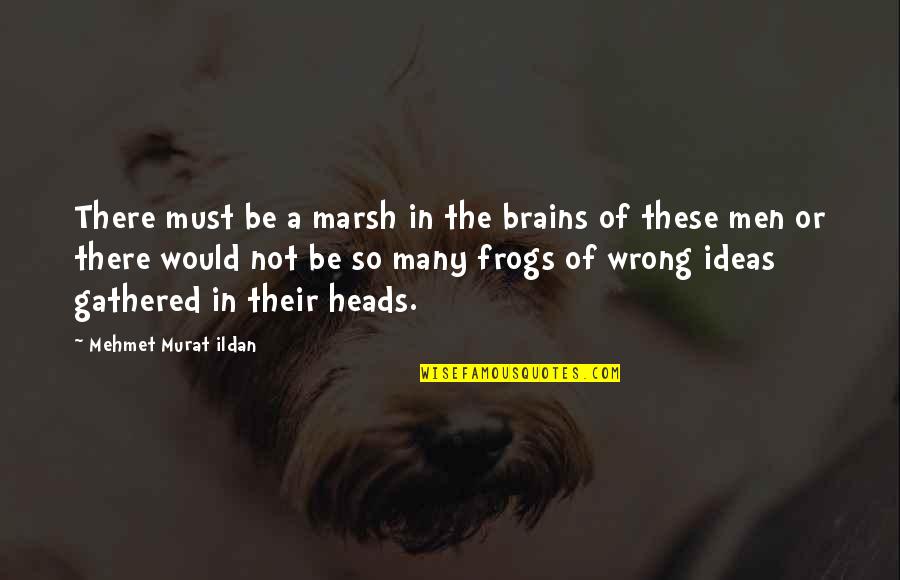 Heads In Quotes By Mehmet Murat Ildan: There must be a marsh in the brains Heads In Quotes By Mehmet Murat Ildan: There must be a marsh in the brains