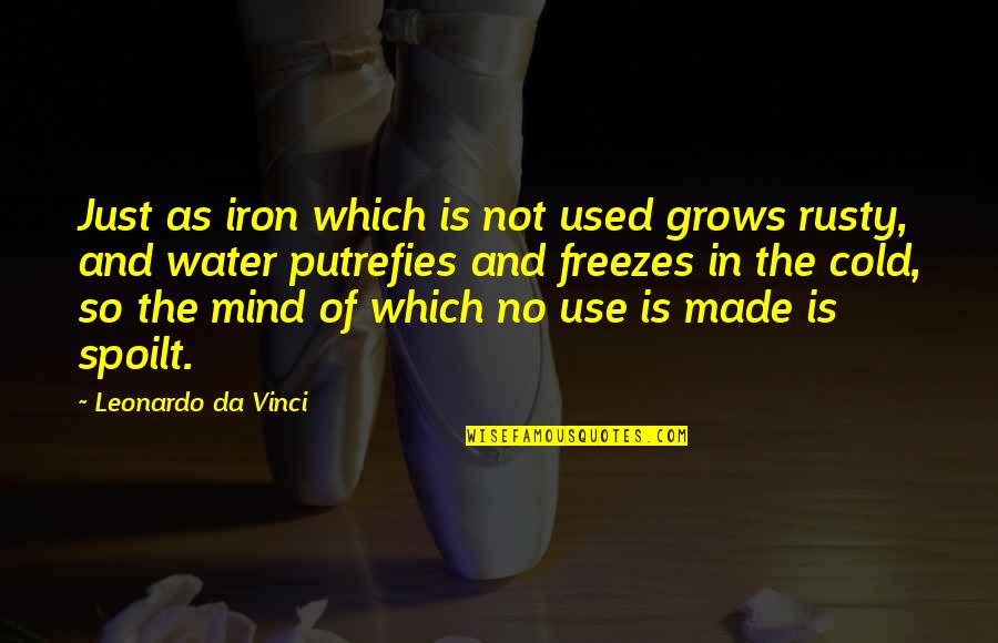 Heads Messed Up Quotes By Leonardo Da Vinci: Just as iron which is not used grows