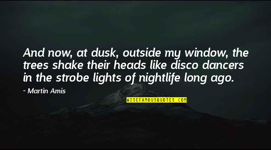 Heads Quotes By Martin Amis: And now, at dusk, outside my window, the