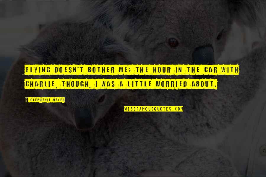 Headstream Quotes By Stephenie Meyer: Flying doesn't bother me; the hour in the