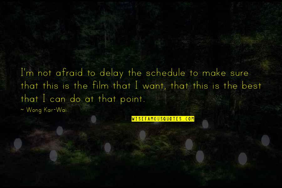 Headteacher Retirement Quotes By Wong Kar-Wai: I'm not afraid to delay the schedule to