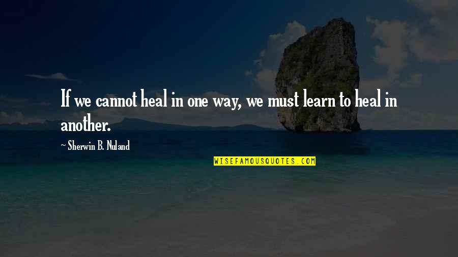 Heal'd Quotes By Sherwin B. Nuland: If we cannot heal in one way, we