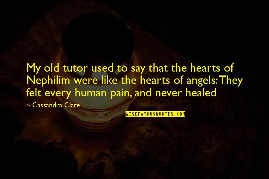 Healed Hearts Quotes By Cassandra Clare: My old tutor used to say that the