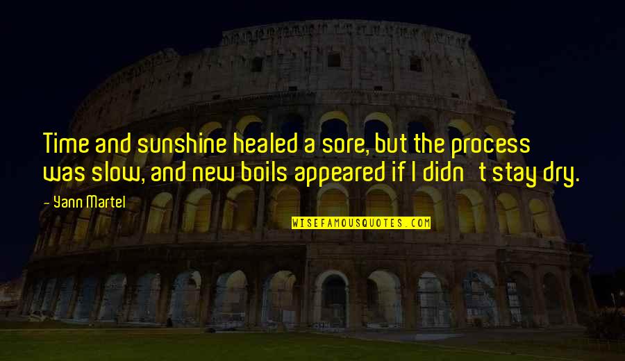 Healed Quotes By Yann Martel: Time and sunshine healed a sore, but the Healed Quotes By Yann Martel: Time and sunshine healed a sore, but the