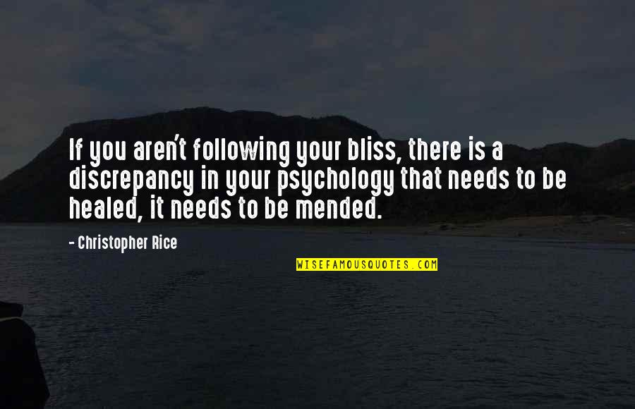 Healed You Quotes By Christopher Rice: If you aren't following your bliss, there is