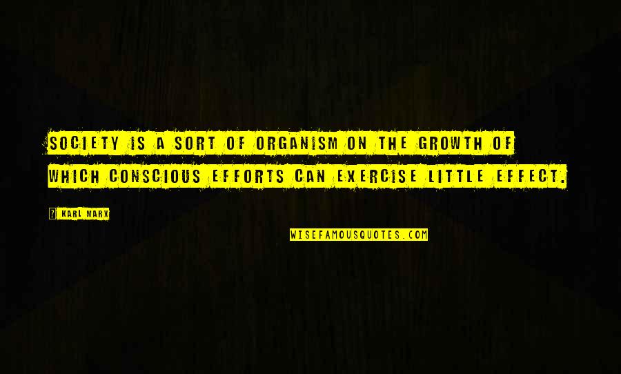 Healer Baskar Quotes By Karl Marx: Society is a sort of organism on the Healer Baskar Quotes By Karl Marx: Society is a sort of organism on the