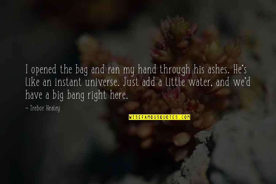 Healey Quotes By Trebor Healey: I opened the bag and ran my hand