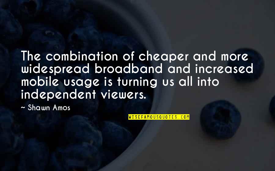Healing From Depression Quotes By Shawn Amos: The combination of cheaper and more widespread broadband