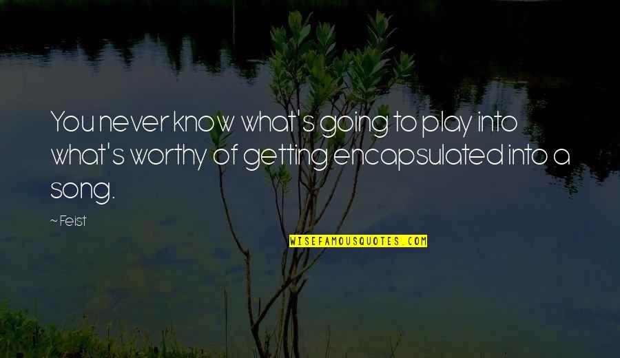 Healing Of Conflict Quotes By Feist: You never know what's going to play into