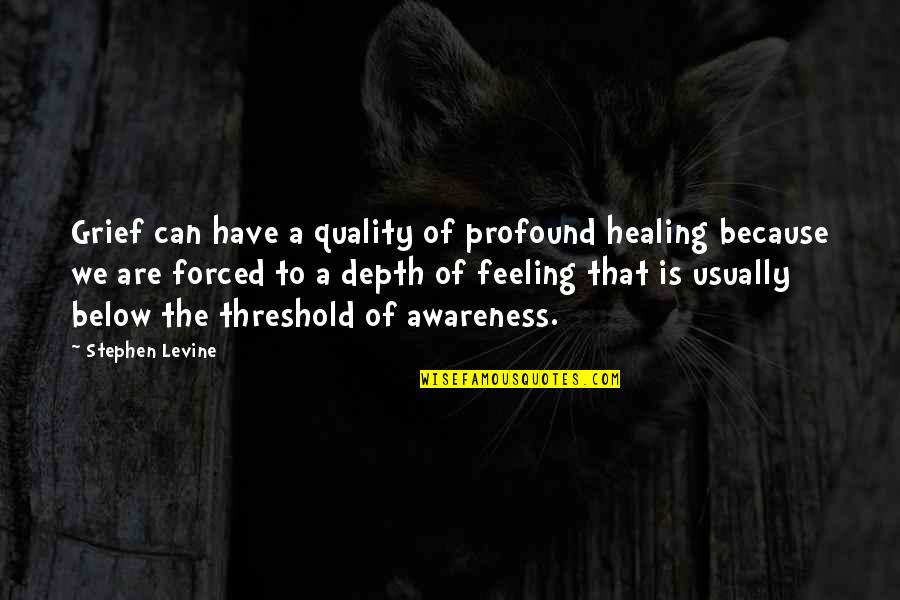 Healing Sadness Quotes By Stephen Levine: Grief can have a quality of profound healing